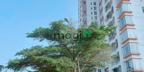 Bán căn hộ chung cư: Chính chủ cần bán GẤP căn hộ Terra Rosa 92m2 giá 2 Tỷ 750 ở