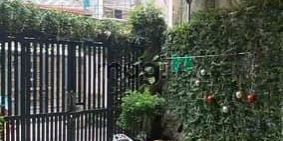 Bán nhà riêng: Bán nhà phường 11, hẻm xe hơi, 4 tầng, 89m², 9.59 tỷ đường Quang 