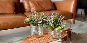 Bán căn hộ chung cư: Bán căn hộ Midtown M7, nội thất cao cấp, DT 78m2, 2PN view 