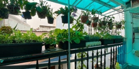 Bán nhà riêng: Nhà đẹp, hẻm 1086 Huỳnh Tấn Phát Nhà Bè. 4m x 12m hai lầu.