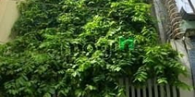 Bán nhà riêng: Bán căn nhà êm Lê Văn Sỹ, P1, Tân Bình, 3,1 tỷ, sổ riêng, đủ tiện