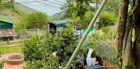 Bán nhà riêng: Cần bán căn nhà không gian xanh có sân vườn rộng rãi Đà Lạt