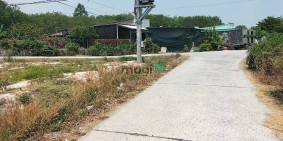 Bán nhà riêng: Cần Bán miếng đất sẵn thổ nằm ngay Đường 653 Phước Thạnh Củ Chi 8