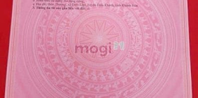 Bán nhà riêng: DLA09 Bán nhà sân vườn hẻm oto gần trường tiểu học Diên Lâm