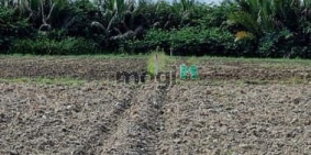 Bán đất thổ cư: Đất MT sông nhà vườn Nhơn Trạch sát TP.HCM giá rẻ 1,5tr/m SR chí