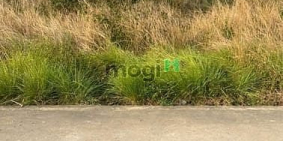 Bán đất thổ cư: ĐẤT THỔ MT đường Nhơn Trạch HẠ giá rẻ 7tr.nhà vườn,xây trọ,kho,x