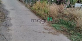 Bán đất thổ cư: Bán gấp đất nhà vườn thổ cư MT sông Phú Đông Nhơn Trạch 4,2tr/m,