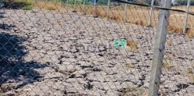 Bán đất thổ cư: Bán gấp đất nhà vườn Nhơn Trạch giá rẻ, MT cầu Phú Mỹ 2. SR chín