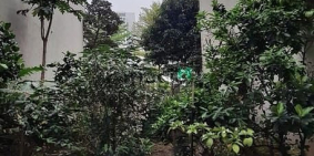 Bán đất thổ cư: Đất phân lô TT Pháo Binh, Tân Xuân. Ô tô thông, DT 50m2 MT6m nhỉ