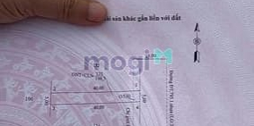 Bán đất thổ cư: Bán Đất Mặt Tiền Đường ĐT795, Xã Tân Thành, Tân Châu Vị Trí Đẹp,