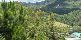 Bán đất thổ cư: 6000m² đất QH thổ cư mặt tiền B'Lao Xê Rê, view 360, khu dân cư