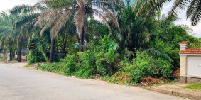 Bán đất thổ cư: Bán 3 nền biệt thự liền mặt tiền Trần Văn Giàu KDC Vạn Phát Cồn 