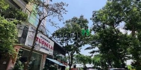 Bán đất thổ cư: Bán đất PL khu đấu giá Tứ Hiệp, khu vực phát triển mạnh, 95m, MT