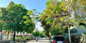 Bán đất thổ cư: Bán 2 lô đất chính chủ khu TĐC 31ha Trâu quỳ, Dt 110m2 mt 7.1m h