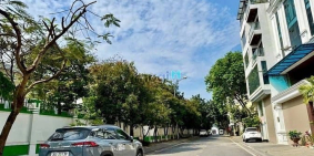 Bán đất thổ cư: 9.x Tỷ có lô đất TDC phường Việt Hưng, Vỉa hè Lô góc, 50m2 mt 5.