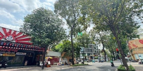 Nhà phố: Cho thuê nhà 13 Lê Quý Đôn, Phường 6, Quận 3, DT:15x25, 1 trệt 1 lầu