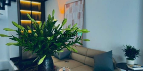 Nhà riêng: Cho thuê nhà ngõ 294 phố Kim Mã , Ba Đình  Nhà 4 tầng x 50m,