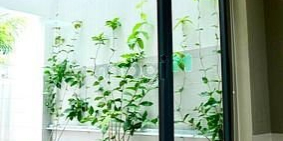 Căn hộ chung cư: Văn phòng chỉ 100tr triệu Saigon mystery Villa Sẵn bàn ghế