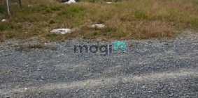 Bán đất nền dự án: 500m2 Đất Phường Tân Hạnh Cách Đường phạm Văn Diêu 1xẹt. 1Tỷ9