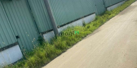 Bán đất nông, lâm nghiệp: Bán vườn Bưởi 493 m2 Bình Lợi gần đường Long Chiến giá