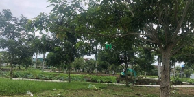 Bán đất nền dự án:  LK7 View Công Viên – Thanh Khoản Nhanh, Đầu Tư Chắc Thắng!