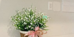 Căn hộ chung cư: Căn hộ chung cư Carillon 7, 2PN đầy đủ nội thất. Có Hồ bơi, Spa