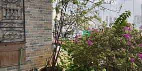 Căn hộ chung cư:  Cho thuê căn hộ Garden Plaza 1 – Block C Tầng 8 • Hướng biệt 