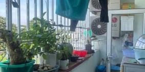 Căn hộ chung cư: Chung cư Bùi Hữu Nghĩa, P3, Bình Thạnh: 9tr/th, 1p ngủ rộng, 75