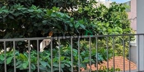 Nhà hàng - Khách sạn: Căn hộ 50m2 dạng 1pn cộng Trần Quang Diệu - Q3