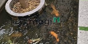 Bán nhà riêng: vị trí ngay Phạm Văn Bạch Phường 15 Tân Bình 230m2 3 tầng 10x23 1