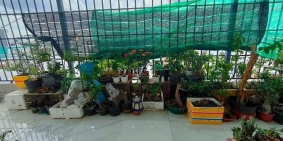 Bán nhà riêng: căn hộ dịch vụ đường hồ đắc di sau big c trường chinh 190m2 4 tần