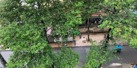 Phòng trọ: Cho thuê phòng riêng cách BV Chợ Rẫy, ĐH Y Dược 5 phút đi bộ