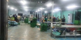 Nhà Kho - Xưởng: Nhà xưởng, kho cho thuê 900m2 An Phú Đông Quận 12