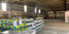 Nhà Kho - Xưởng: Cho thuê Kho - Xưởng đường Tây Hòa - Xa Lộ Hà Nội. dt: 600m2. 3