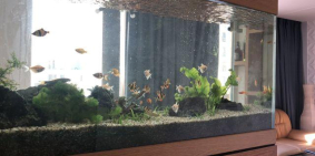 CHUYÊN CHO THUÊ CH STAR HILL, Q7 3PN, 2WC, NỘI THẤT ĐẦY ĐỦ CAO CẤP, GIÁ; 1000USD/TH, 0902 400 056-HỒNG