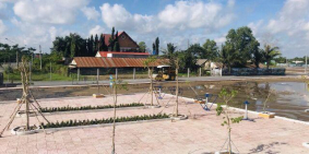 Đất Mặt Tiền Quốc Lộ 50 – Cần Đước, Giá Rẻ 800 triệu