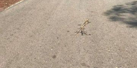 Bán rẻ đất thổ cư ngay tại  UBND Minh Tân, Dầu Tiếng, Bình Dương, SHR, 250m2