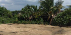 Đất Khu Dân Cư Mới Cầu Cây Xanh đường Bình Mỹ xã Bình Mỹ, Củ Chi