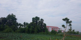 Tin Môi giới đăng 22 phút trước Bán đất Bình Mỹ, ngay cầu Rach Tra, XDTD, SHR