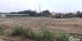 1400m2 đất CLN giá hạt dẻ 6tr/m2 MT Phạm Hữu Lầu , Phước Kiển , Nhà Bè