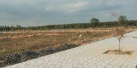 Bán dự án Long việt An đường Bắc Sơn - Long Thành thổ cư 100% Giá chủ đầu tư