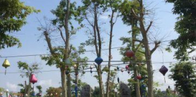 BÁN ĐẤT KHU ĐÔ THỊ XUÂN AN GREEN PARK DIỆN TÍCH 120-500M2