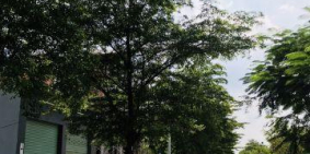 Kẹt tiền bán nhanh lô đất 160m2 , giá tốt,