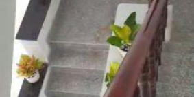 Bán nhà  phố mặt tiền dt835 Long Trạch,Cần Đước