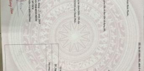 Đất Nền Cát Tường Phú Hưng 7 kỳ quan, và 2 TTTM, Chợ đêm tỉnh