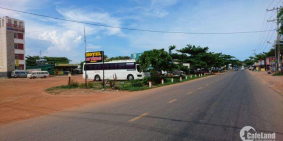 BÁN ĐẤT 1000M2 MẶT TIỀN ĐƯỜNG NHỰA LỘ GIỚI 33M, GẦN BIỂN, LAGI, BÌNH THUẬN