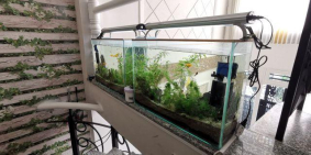 HXH Út Tịch 6x16.1m CN 98.5m2 vuông vức GPXD Hầm 6 tầng giá 15.8 tỷ TL.