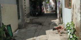 Bán nhà hẻm Lương Thế Vinh, DT: 3.8x9m, giá: 4.55 tỷ, P. Tân Thới Hòa, Q. Tân Phú