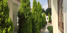 Bán biệt thự đẹp lung linh, vị trí đẹp, trung tâm TP Đà Lạt, giá tốt