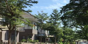 Bán biệt thự đơn lập Camelia Garden Nguyễn Văn Linh, Bình Hưng,Bình Chánh